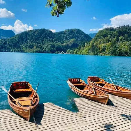 Camp Starshine Near Bled * Begunje na Gorenjskem