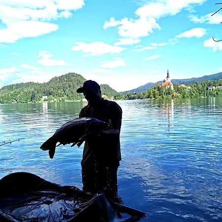 Camp Starshine Near Bled *