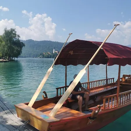 Camp Starshine Near Bled Camping *