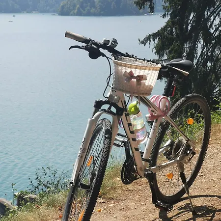 Camping Camp Starshine Near Bled