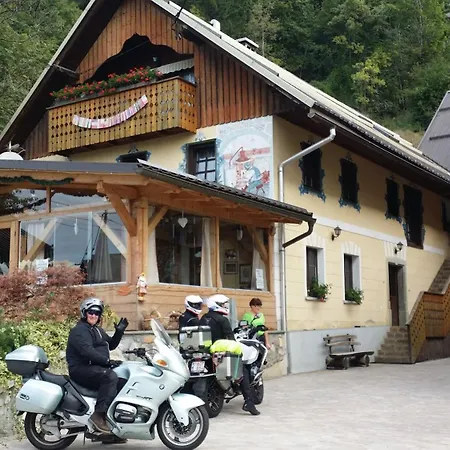 Camp Starshine Near Bled Camping *