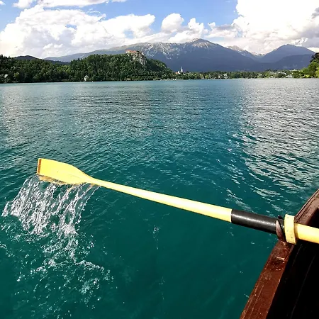 Camp Starshine Near Bled * Begunje na Gorenjskem
