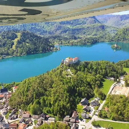 Camp Starshine Near Bled Camping *