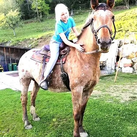 Camping Camp Starshine Near Bled Begunje na Gorenjskem