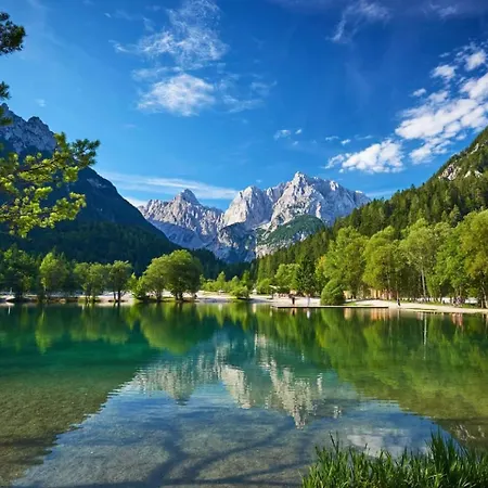 Camp Starshine Near Bled Camping